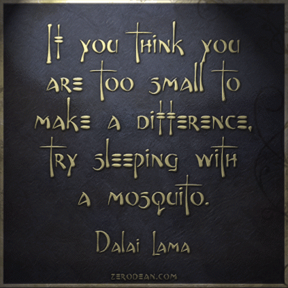 if-you-think-you-are-too-small-to-make-a-difference-try-sleeping-with-a-mosquito-dalai-lama